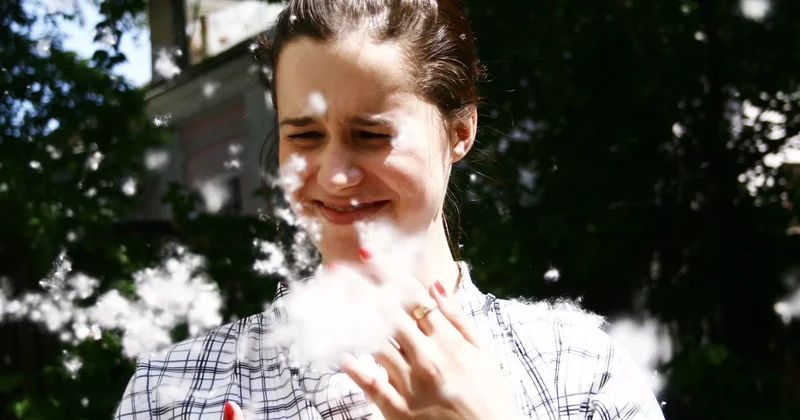 Yay allergiyasının əsas səbəbləri və qorunma yolları açıqlanıb