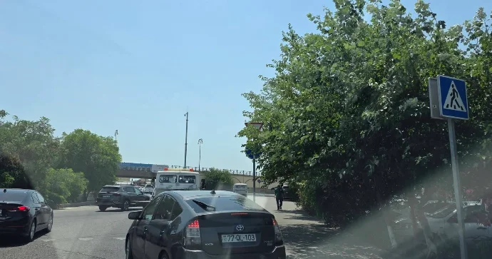 Nizamidə ağaclar Yol ver nişanının qarşısını kəsən ağaclar bundandı FOTO VİDEO