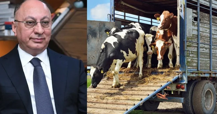 AQTA KİMİN “ƏMİSI OĞLU”DUR? Heyvanları “stresdən çıxarıb”, insanları stresə salır...