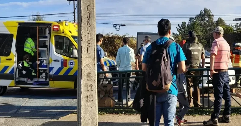 Əlcəzairdə avtobus körpüdən aşıb, 18 nəfər ölüb