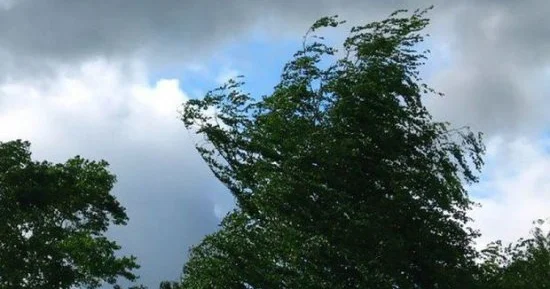 Bakıda külək, rayonlarda isə... BU GÜNÜN HAVASI