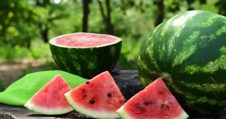 Qarpızın faydaları Kimlərə olar, kimlərə olmaz?