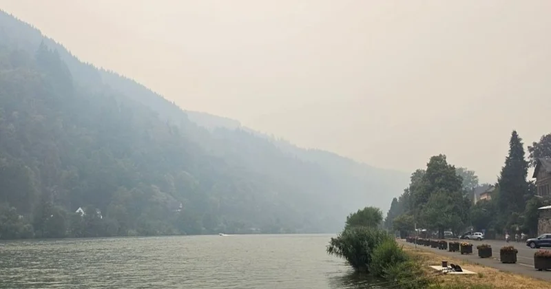 Belçikada ölkə tarixinin ən böyük meşə yanğını başlayıb, əhali təxliyə olunur