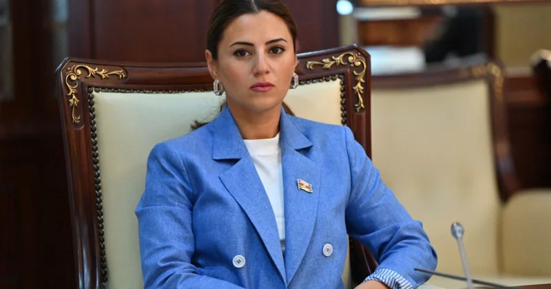 Cənubi Qafqazda yeni mərhələ: Azərbaycanın liderliyi ilə sülhə doğru ŞƏRH