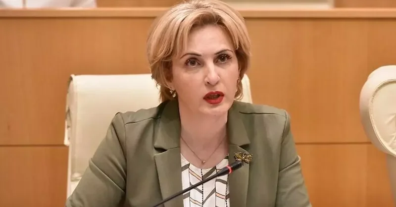 Депутат о причинах отказа ОБСЕ/БДИПЧ наблюдать за выборами в Грузии