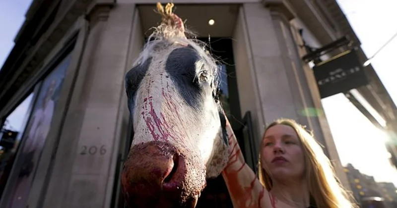 Голова коровы и плакат: PETA устроила скандал на показе Coach Minval Politika