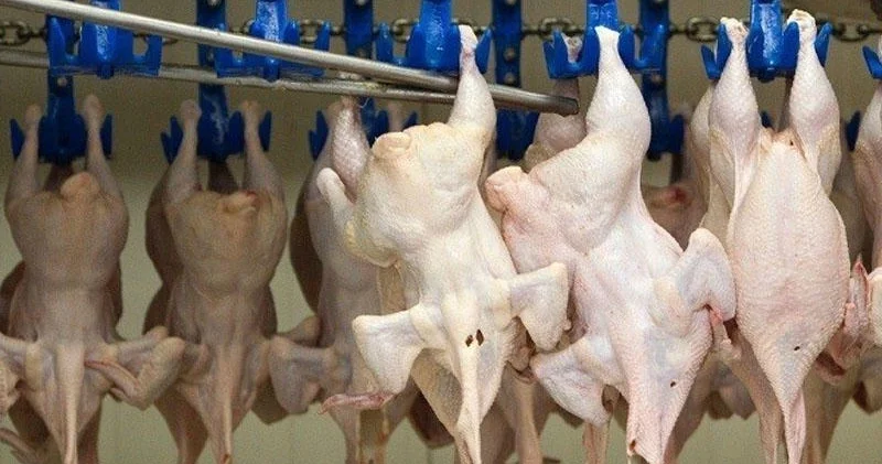 Bu ətlərin qiymətində UCUZLAŞMA