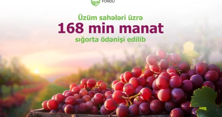 Fermerlərə 168 min manat aqrar sığorta ödənilib