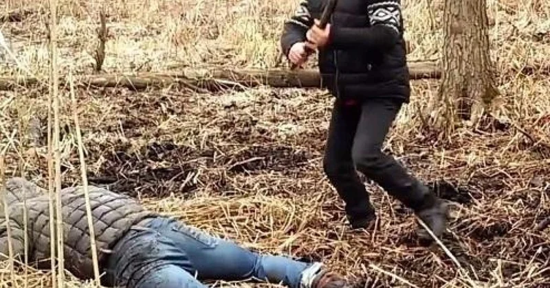 Zaqatala sakini öz bağında hücuma məruz qaldı