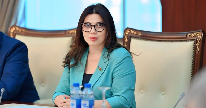 Şuşa görüşü Azərbaycan BƏƏ münasibətlərinə mənəvi güc qatdı Şərh