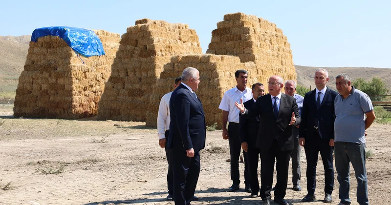 Dövlət Proqramı ilə bağlı Qobustanda görülmüş işlər barədə tədbir keçirildi Fotolar
