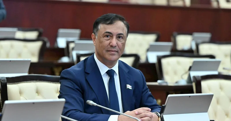 Budur Avropa Parlamentinin əsl siması və yaxud da simasızlığ...