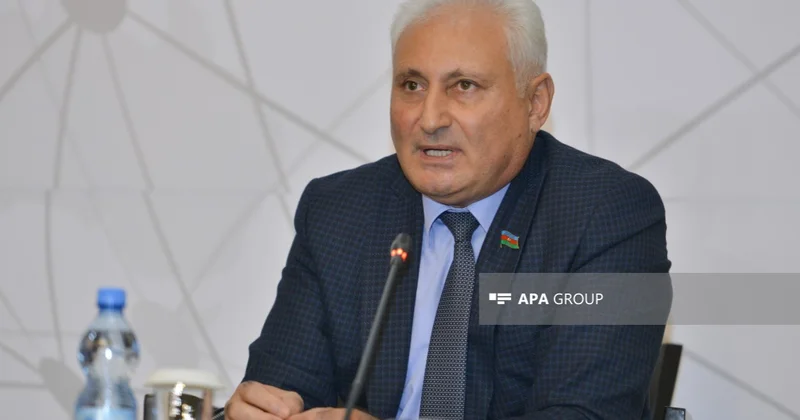 Deputat: Artıq narkobaronlarla mübarizə aparmalıyıq