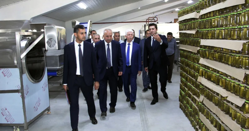 Cəlilabadda kənd təsərrüfatının inkişafı ilə bağlı görülən işlər müzakirə olunub