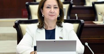 Yeni mərhələ: siyasi, diplomatik və iqtisadi əsaslar