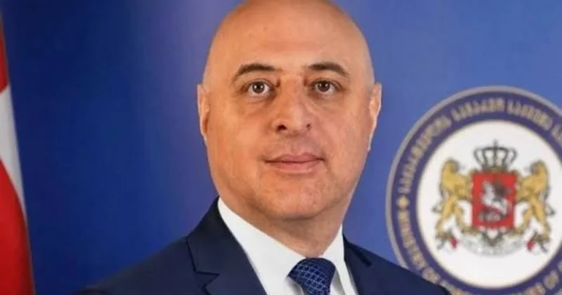 Gürcüstan Azərbaycana yeni səfir təyin edib