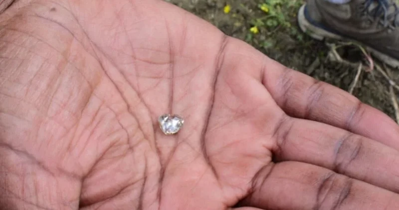 Bu parkda torpağı qazanın almaz tapır FOTOLAR