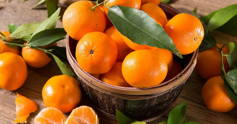 Hər axşam bir mandarin yeyin...