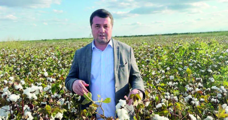 Özbək şirkəti İmişlidə pambıq yetişdirir