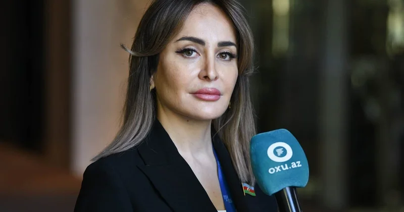 Deputat: Yeni qanun layihəsi qəbul olunandan sonra boşluqlar aradan qalxacaq