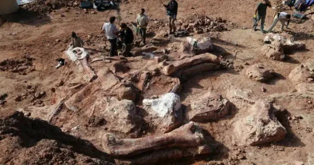 Argentinada ən qədim dinozavrlardan birinin qalıqları TAPILDI