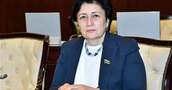 “Mehdiyev millətimiizin Türk kimliyinə nifrətini heç vaxt gizlətməyib İlham Əliyev və Ərdoğan arasında fitnə salmağa çalışırdı”