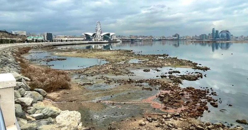 Xəzər sürətlə dayazlaşır: Əsas səbəb Volqa çayıdır ARAŞDIRMA