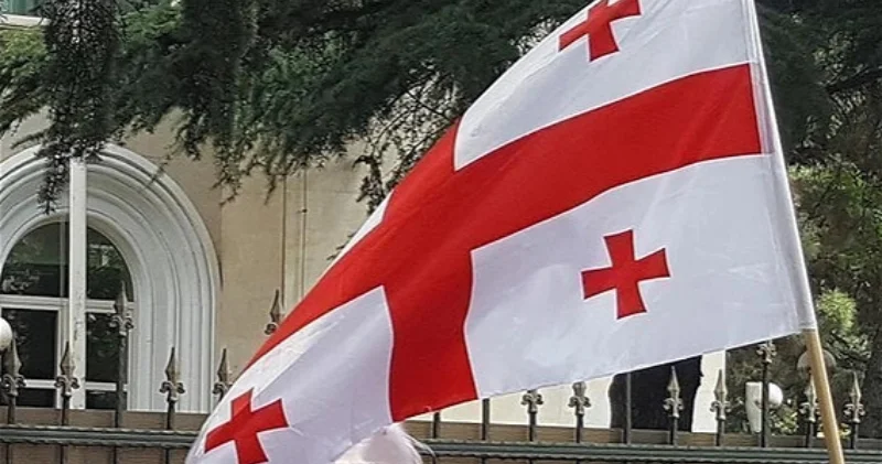 Gürcüstan ATƏT ə etiraz notası göndərdi ATƏT sədrinin davranışından narazıdırlar