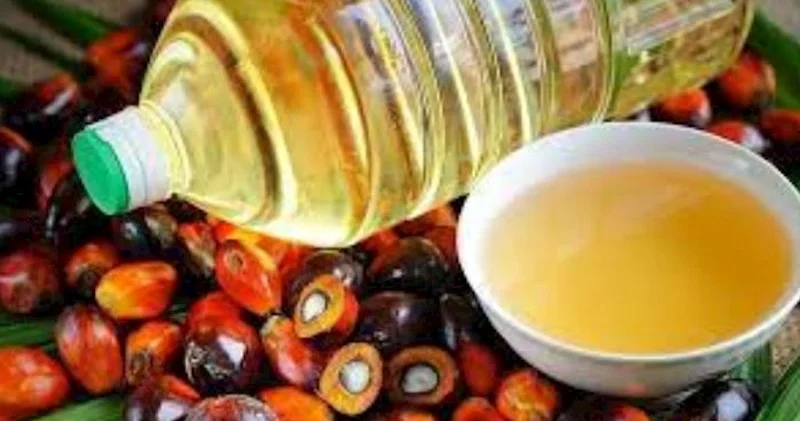 Palma yağı bu xəstəliklərlə səbəb olur Ekspert
