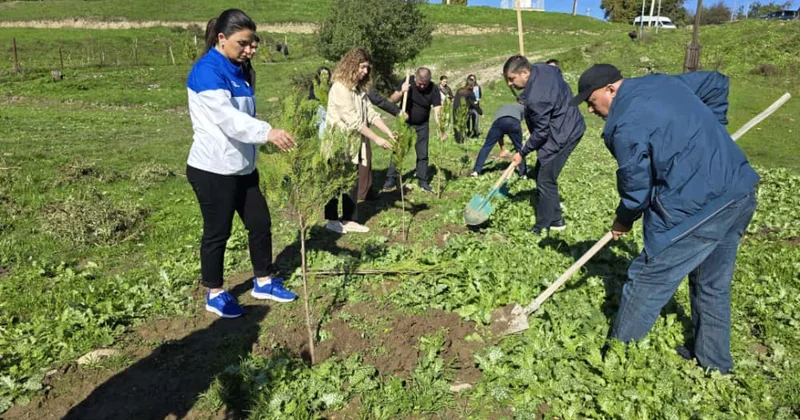 Qubada “Bir ağac min nəfəs” şüarı ilə 600 dən çox ting əkilib