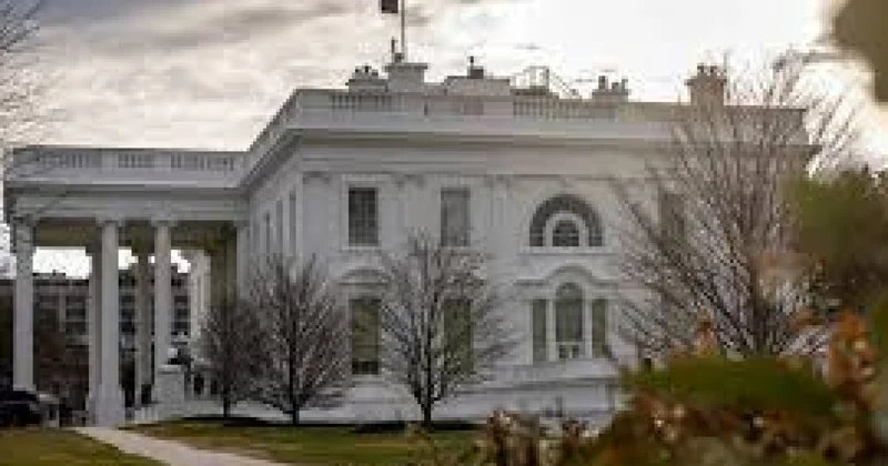 Соратники Трампа решили: Время пришло