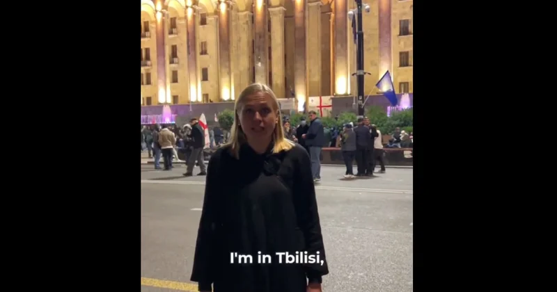 Грузия оштрафовала Элину Валтонен и передала ноту протеста ОБСЕ Minval Politika