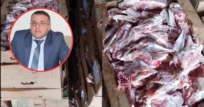 Mütəxəssis kolbasaya qatıldığı deyilən ətlər barədə: Bunu heç heyvana da vermək olmaz VİDEO