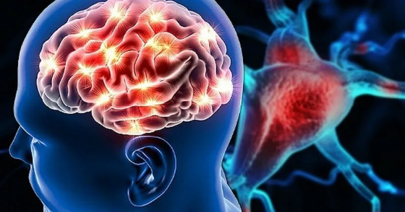 Yeni tədqiqat: Beyinlər fərqli olsa da, dünyanı oxşar görürük