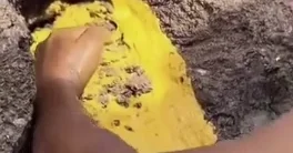 İndoneziyada çayda qızıl axtaran gənc fenomen oldu
