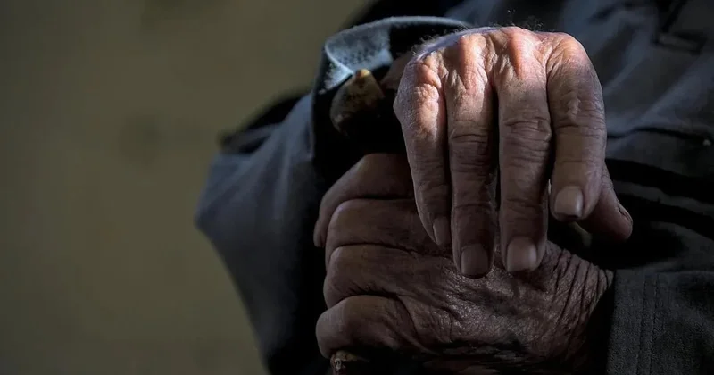 Hansı yaşda ət yemək ömrü uzadır? Elmi araşdırma