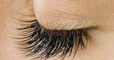 Kosmetik salonda qaşların və kirpiklərin rənglənməsi, burulması və uzadılması