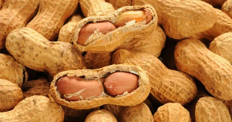 Yer fındığının arıqlamağa faydaları