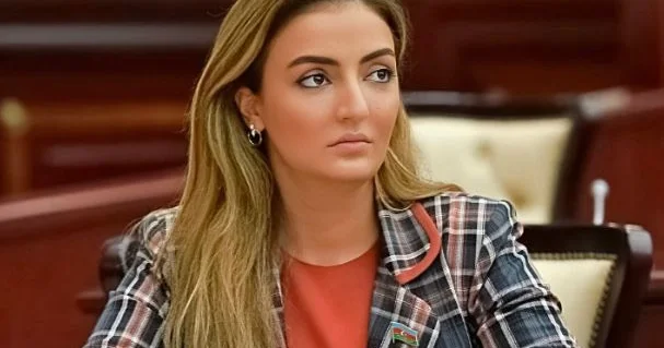 “Azərbaycan AQEM də də etibarlı tərəfdaş kimi qəbul olunur”