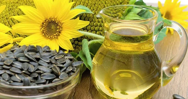 Günəbaxan və balıq yağlarının gözlənilməyən ZƏRƏRİ açıqlanıb