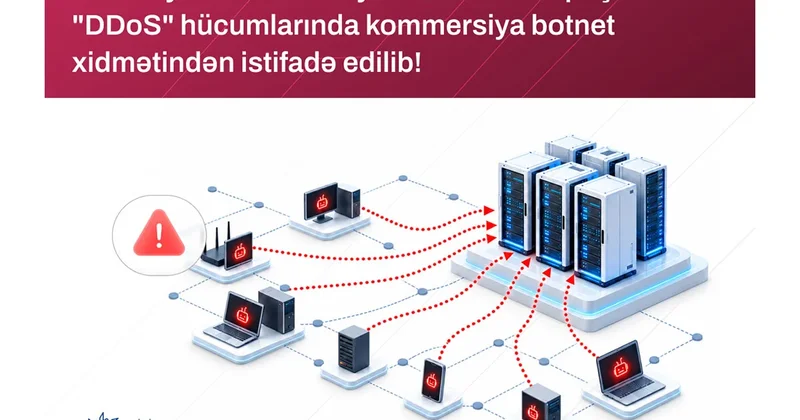 НАК: 313 Team взяла на себя ответственность за DDoS атаки на Азербайджан