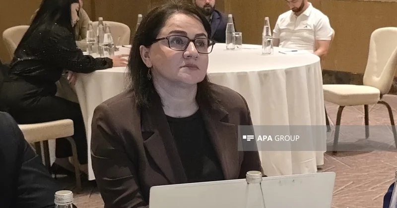 AZSTAND: Azərbaycanda 4 minə yaxın yeni normativ sənəd hazırlanacaq