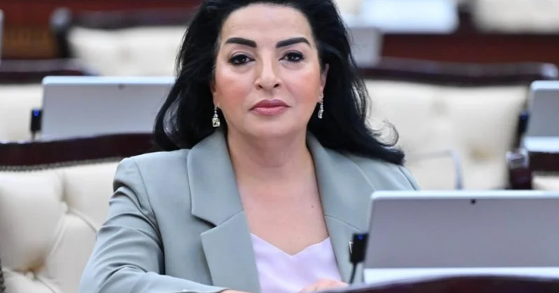 Azərbaycan bütün bu illər ərzində münaqişənin beynəlxalq hüququn norma və prinsipləri əsasında həllinə çalışıb Fatma Yıldırım