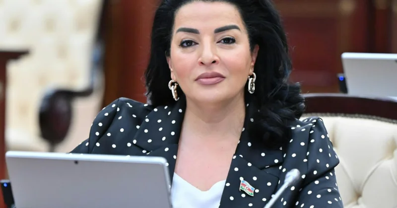 Azərbaycanın sülh gündəliyi regional sabitliyin təmin olunmasına xidmət edir ŞƏRH