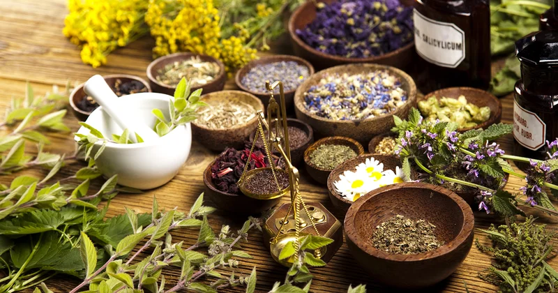 Qanı tər təmiz edən TƏBİİ ÇAY