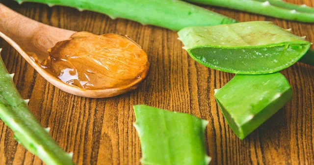 Aloe şirəsi ilə məşhur resept. Əsl şəfa mənbəyi!