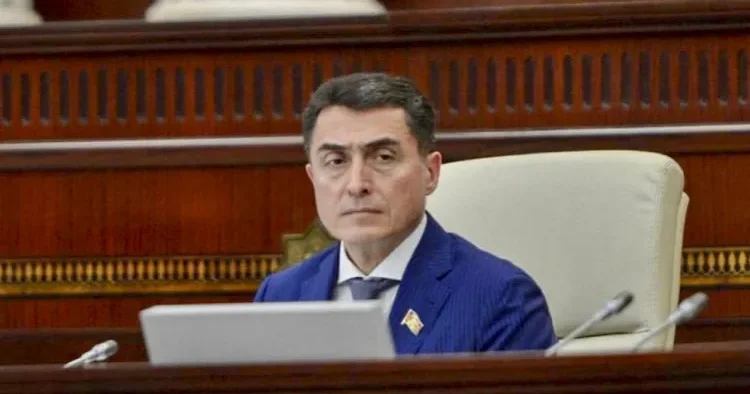 Nə üçün yerli tələbələr üstünlüyə malik deyil? Deputat sual ETDİ