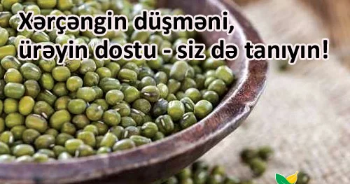 Xərçəngin düşməni, ürəyin dostu siz də tanıyın!