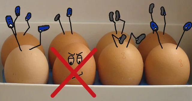 Yumurtanın saxlanılması ilə bağlı bilmədiyiniz 5 FAKT