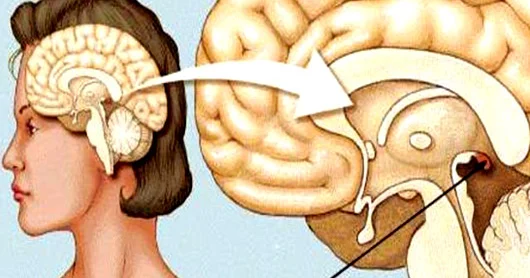İnsanı həmişə cavan saxlayan hormonun SİRRİ: mütləq bunları edin!